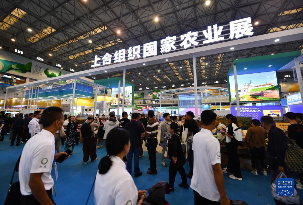 千赢娱乐手机登录
